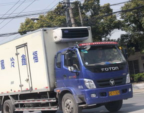 上海至滁州專(zhuān)業(yè)整車(chē)運(yùn)輸服務(wù) 13米車(chē)型天天發(fā)車(chē)，高效直達(dá)